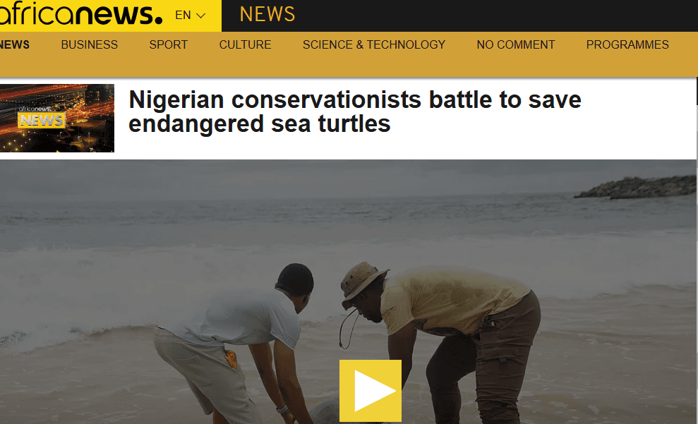 Nigerian Conservationists Battle to Save Endangered Sea Turtles