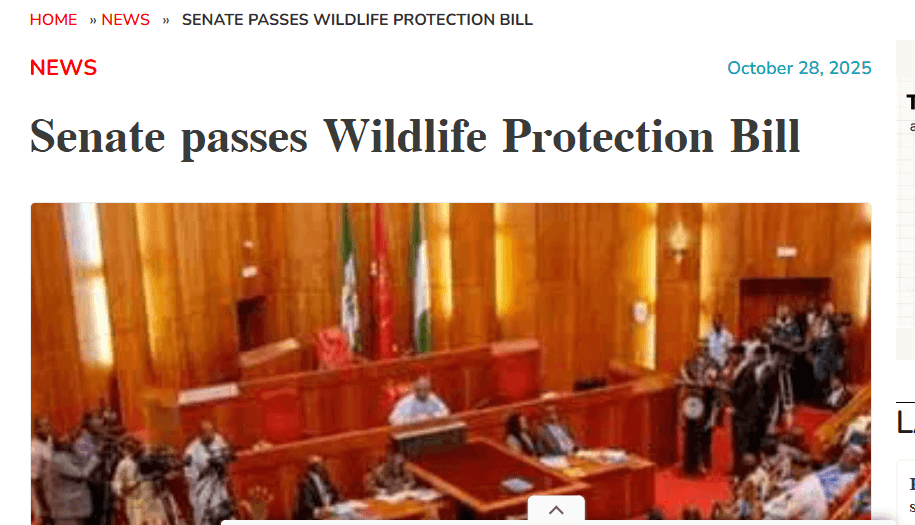 Nigerian Senate Passes Landmark Endangered Species Conservation Bill